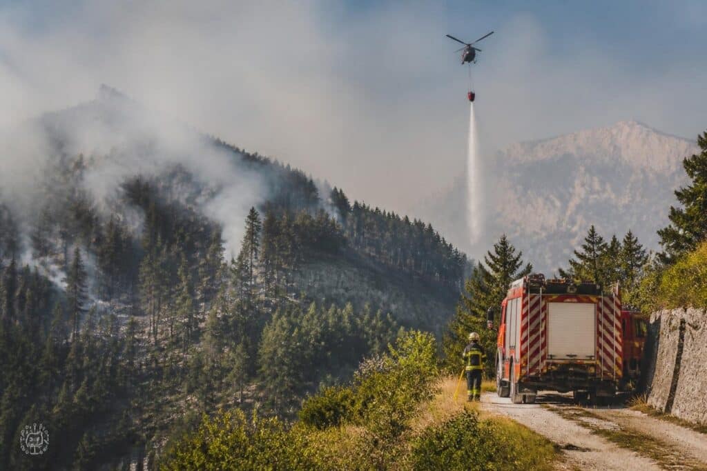 815 Hektar Wald in Friaul verbrannt