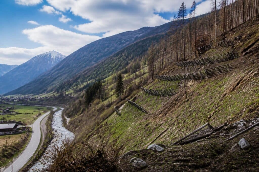 Lesachtal vier Monate nach Waldbrand