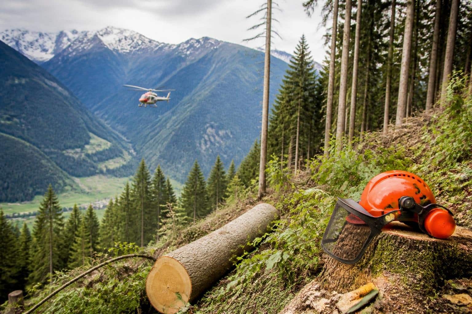 Forstunfall im Bezirk Spittal