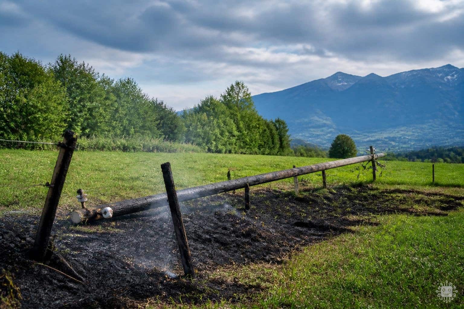 Brand mehrerer Zaunpflöcke