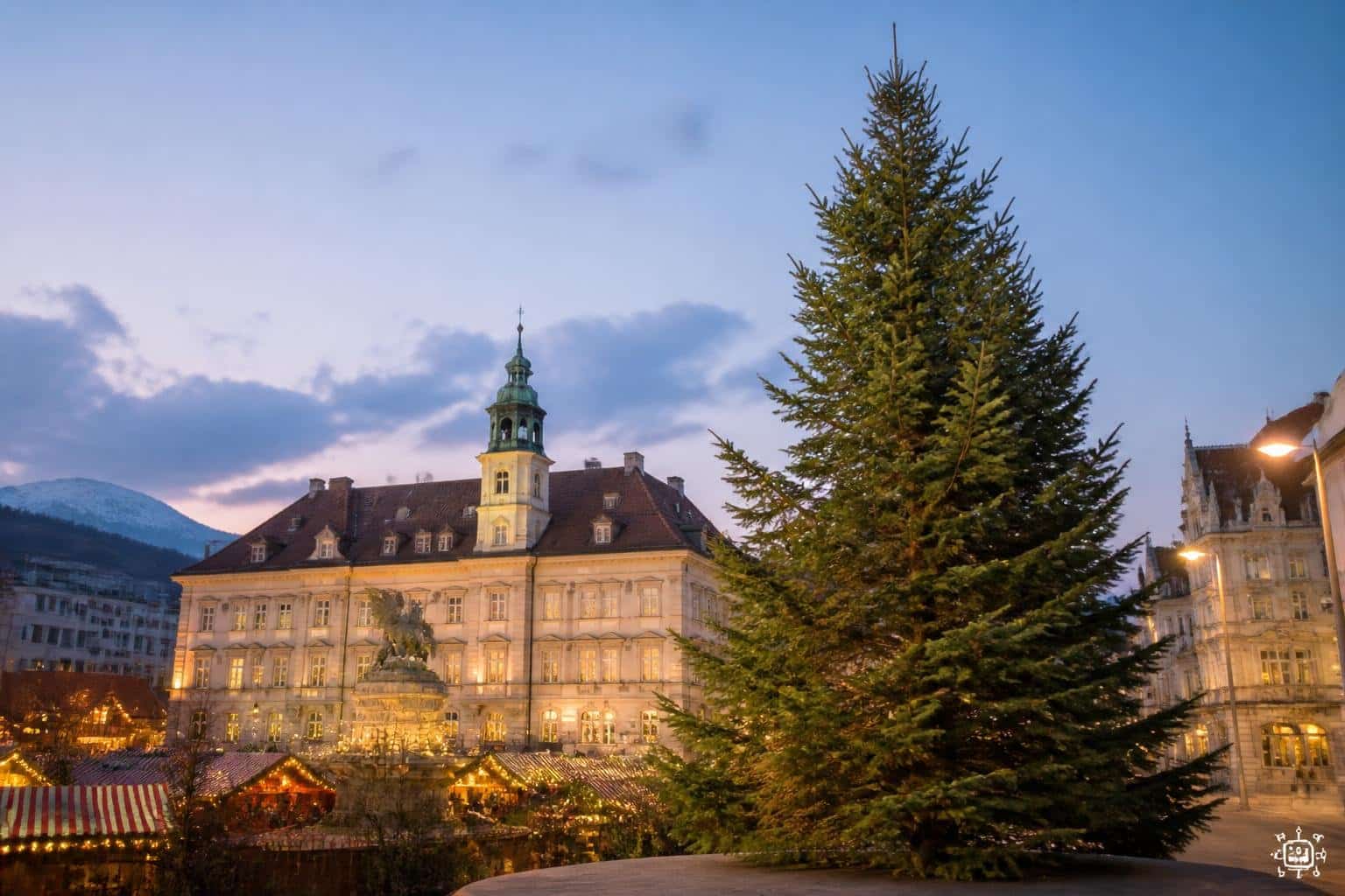 Stadt Klagenfurt sucht 20 Meter hohen Weihnachtsbaum