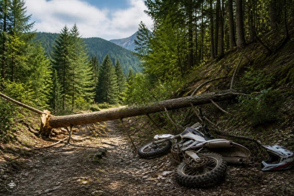 Motocrossfahrer prallt gegen Baum: Tot