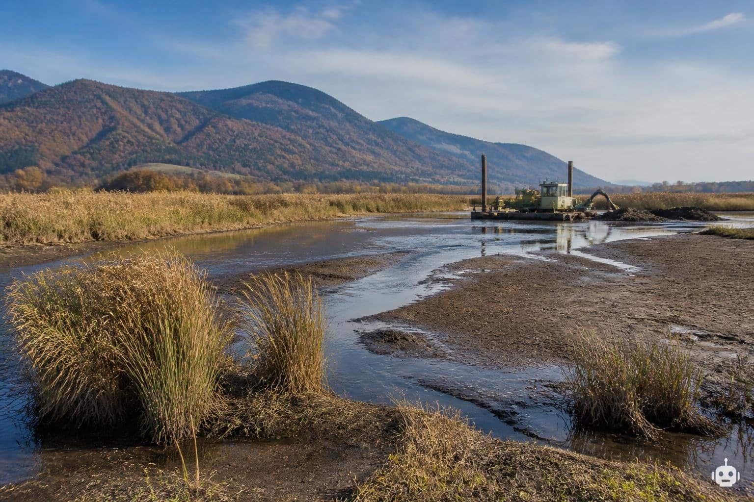 Trockenheit bedroht Bleistätter Moor