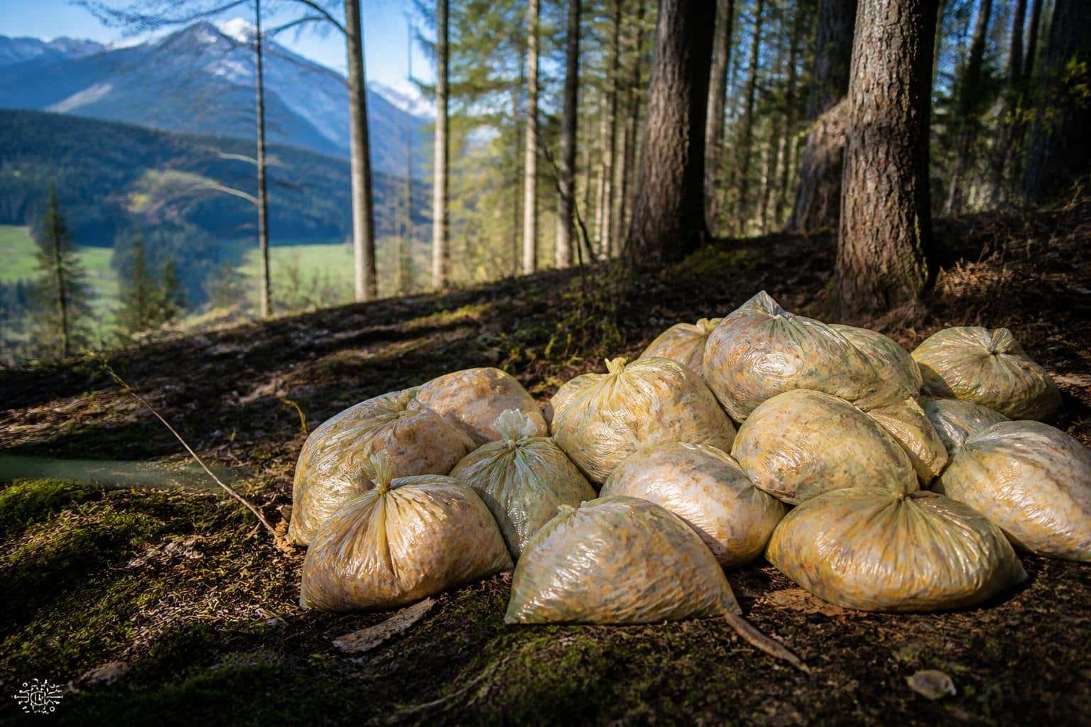Wieder Säcke mit Speiseresten gefunden