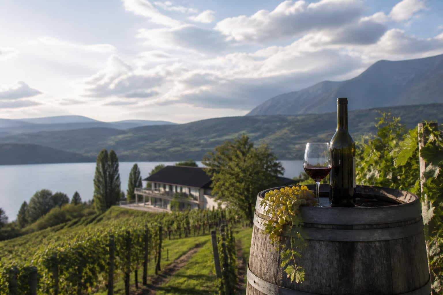 Viele offene Fragen nach Konkurs von exklusiven Weingut