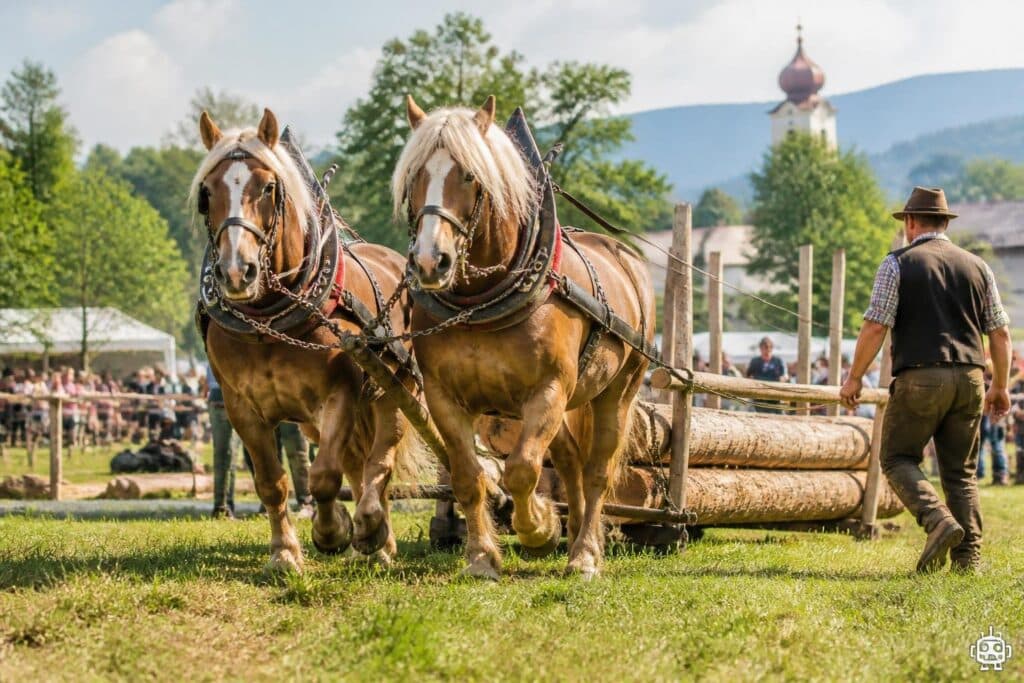 Holz, Pferdestärke und jede Menge Geschick in Arndorf