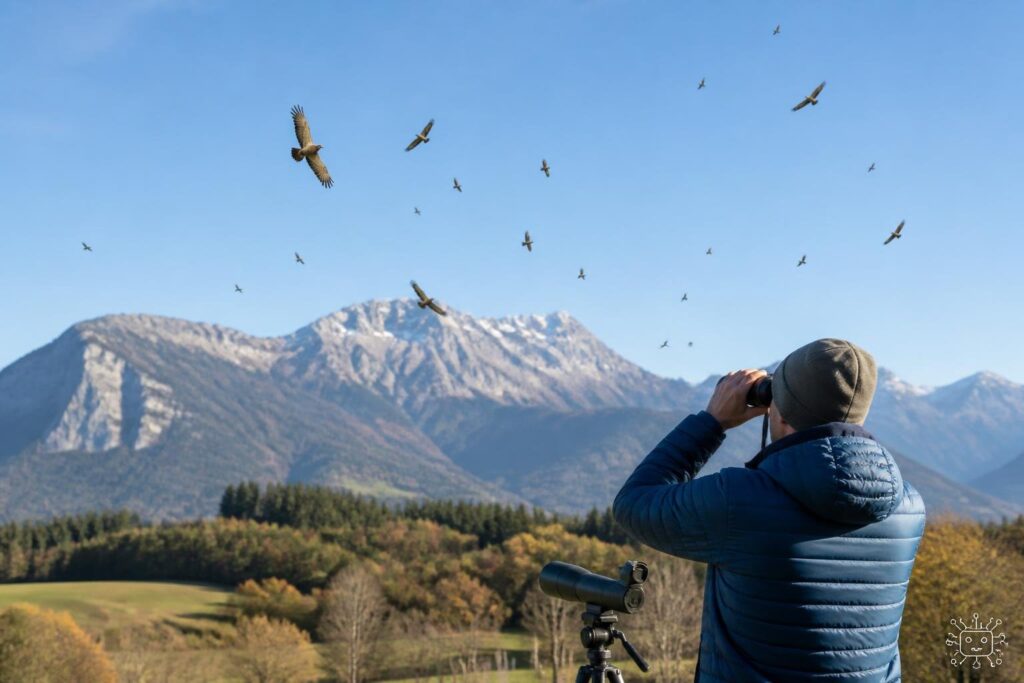 Greifvogelcamp lockte Vogelfans aus ganz Europa nach Arnoldstein