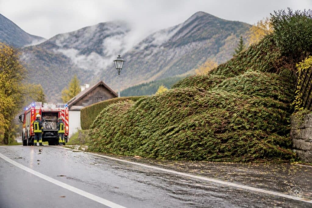 Umgestürzte Hecke sorgt für Feuerwehreinsatz