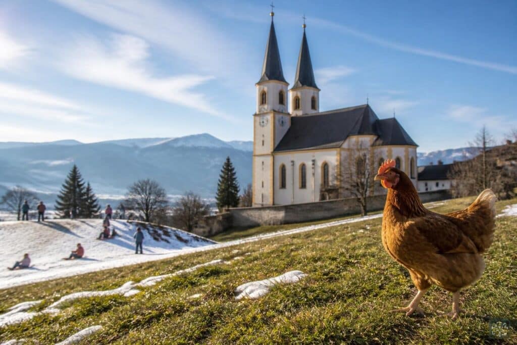 Friedpark unter Basilika in St. Andrä erhitzt die Gemüter