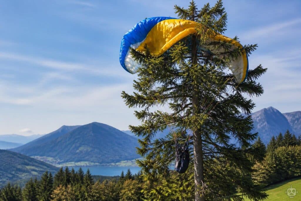 Paragleiter bleibt in Baumkrone hängen