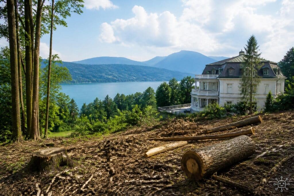 Für Bauprojekt: Rodungen am Areal der Horten-Villa geplant