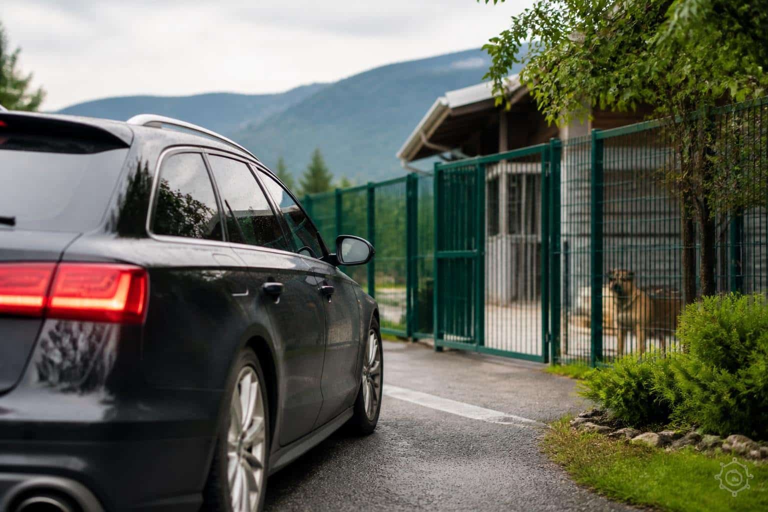 Fahndung: Auto vor Tierheim gestohlen